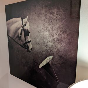 Vintage Horse and Phonograph Wall Art
